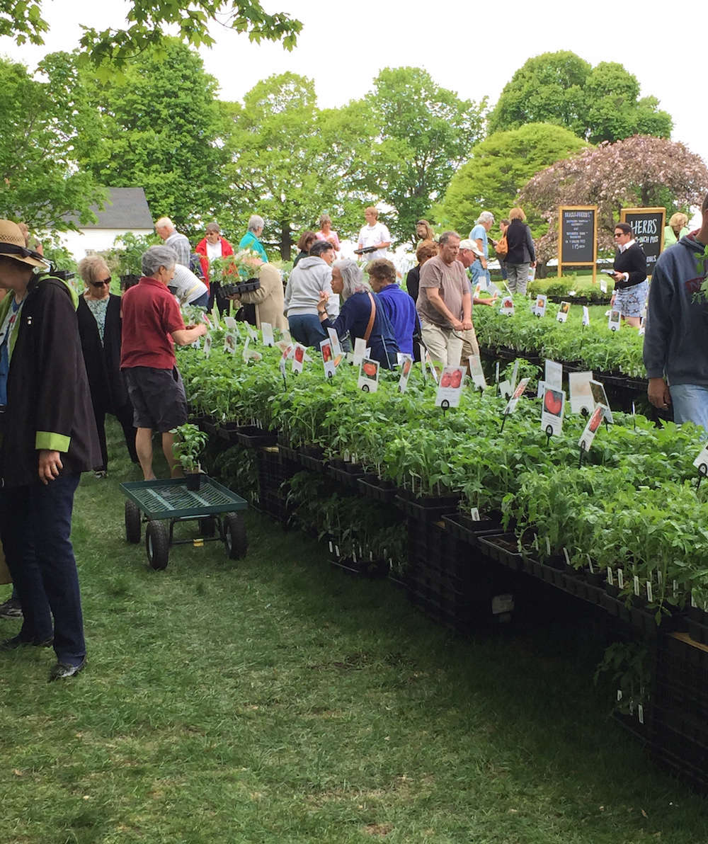 One Week Away The Great Tomato Celebration at White Flower Farm