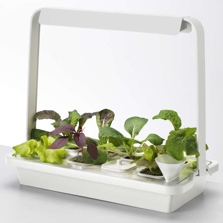 New From Ikea A Hydroponic Countertop Garden Kit Gardenista