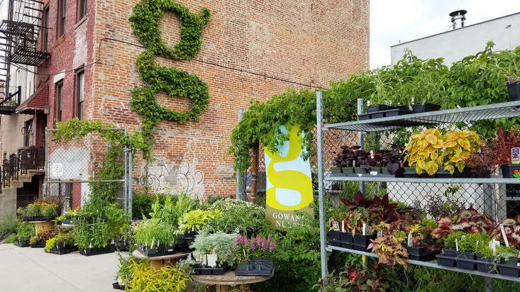 Photograph by Marie Viljoen for Gardenista, from Shopper’s Diary: Gowanus Nursery in Brooklyn.