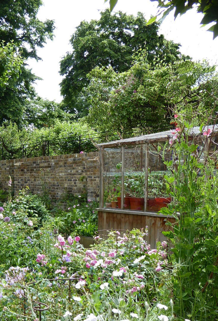 See more in Garden Visit: At Home with Writer Daisy Garnett in London. Photograph by Clare Coulson.