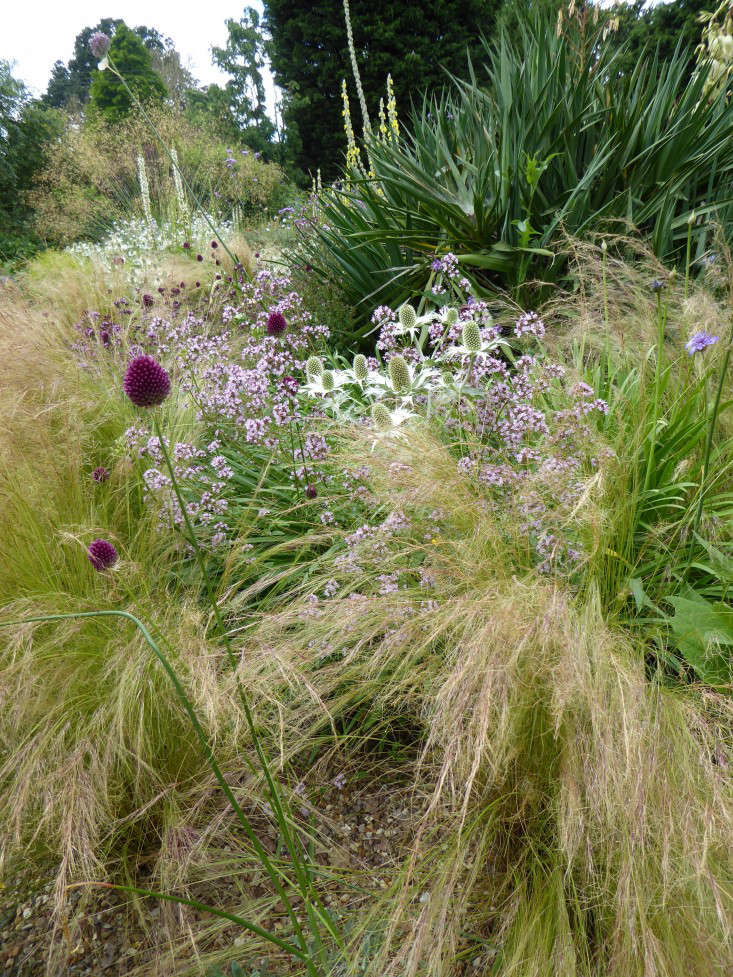 Expert Advice 40 Tips For Gravel Garden Design Gardenista Custom Gravel Garden Design Expert Advice 40 Tips For Gravel Garden Design Gardenista Custom Gravel Garden Design