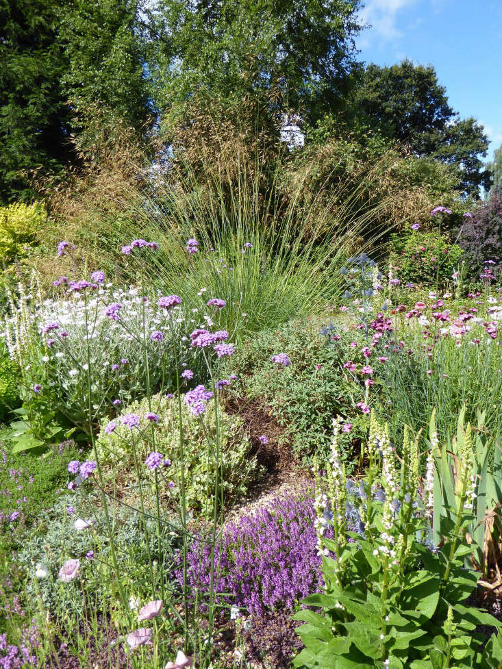 Expert Advice 40 Tips For Gravel Garden Design Gardenista Custom Gravel Garden Design Expert Advice 40 Tips For Gravel Garden Design Gardenista Custom Gravel Garden Design