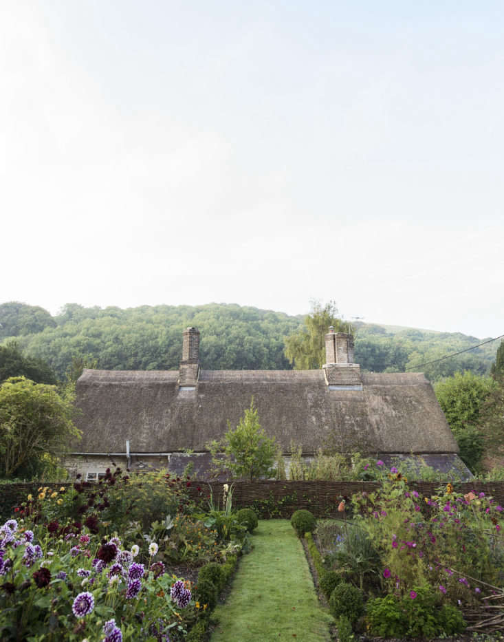 Dahlias riot in designer Ben Pentreath’s Dorchester garden in southern England. Photograph by Matthew Williams for Gardenista. For more of this garden, see our new book, Gardenista: The Definitive Guide to Stylish Outdoor Spaces.