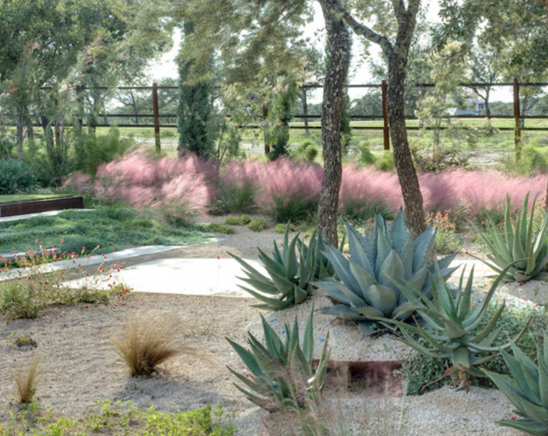 Pink Grasses: 11 Ideas for Muhlenbergia in a Landscape - Gardenista