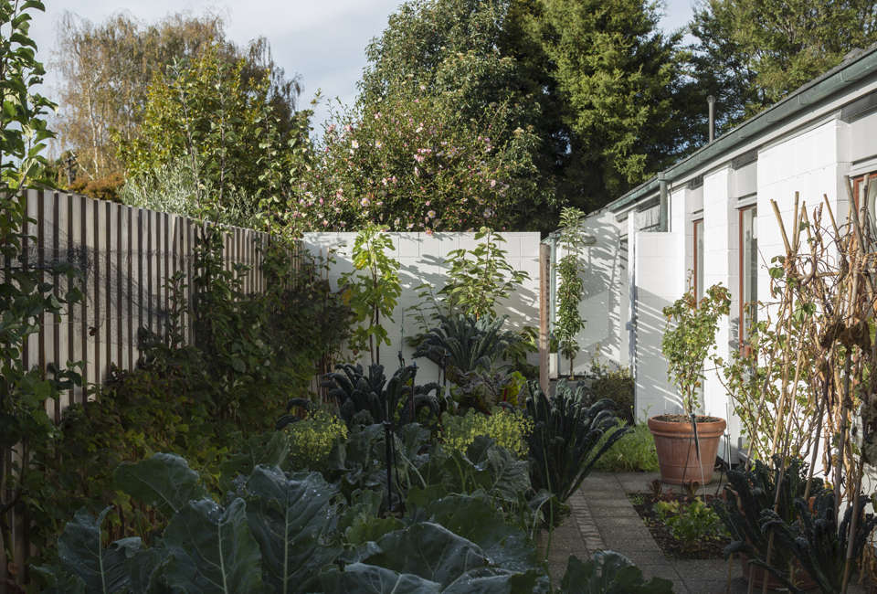 Garden Visit Landscaping for a Modern House in Christchurch, New