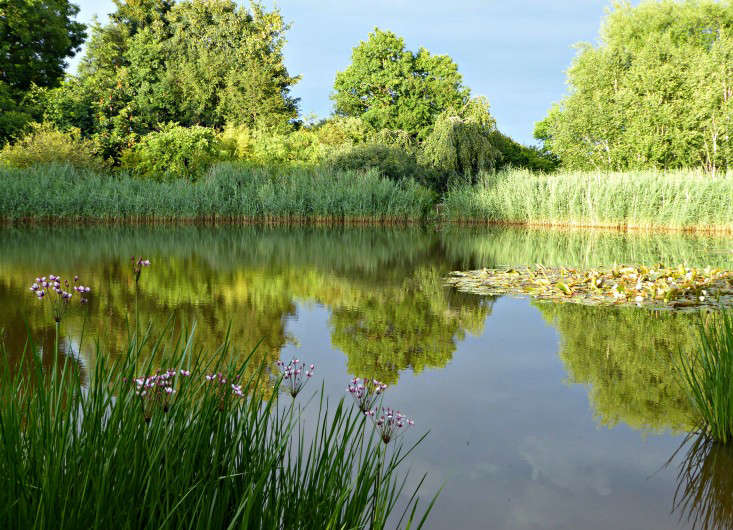 The land here is sandwiched between the village and wetlands beyond, with a stream cutting right around the plot.