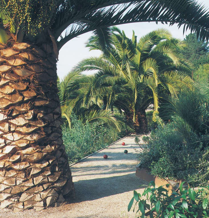 Palm trees anchor this bocce court in a coastal retreat designed by Scott Lewis Landscape Architecture. Photograph by Jamie Hadley.