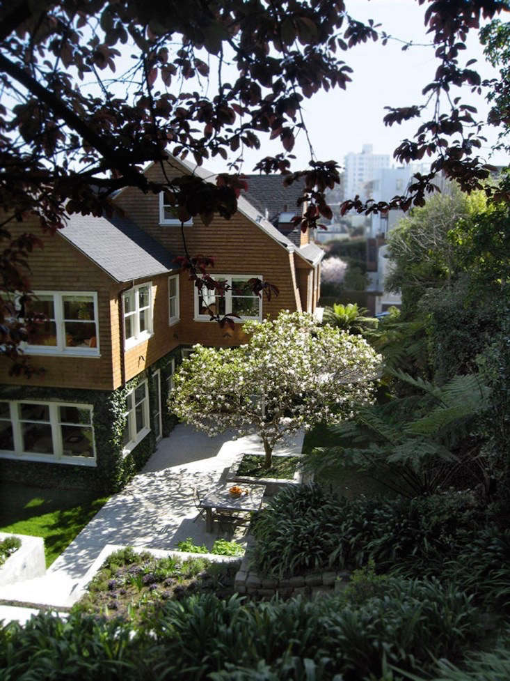 Lewis persuaded clients not to remove an ailing saucer magnolia tree, now nursed back to life. Photograph by Stephen Wheeler courtesy of SLLA.