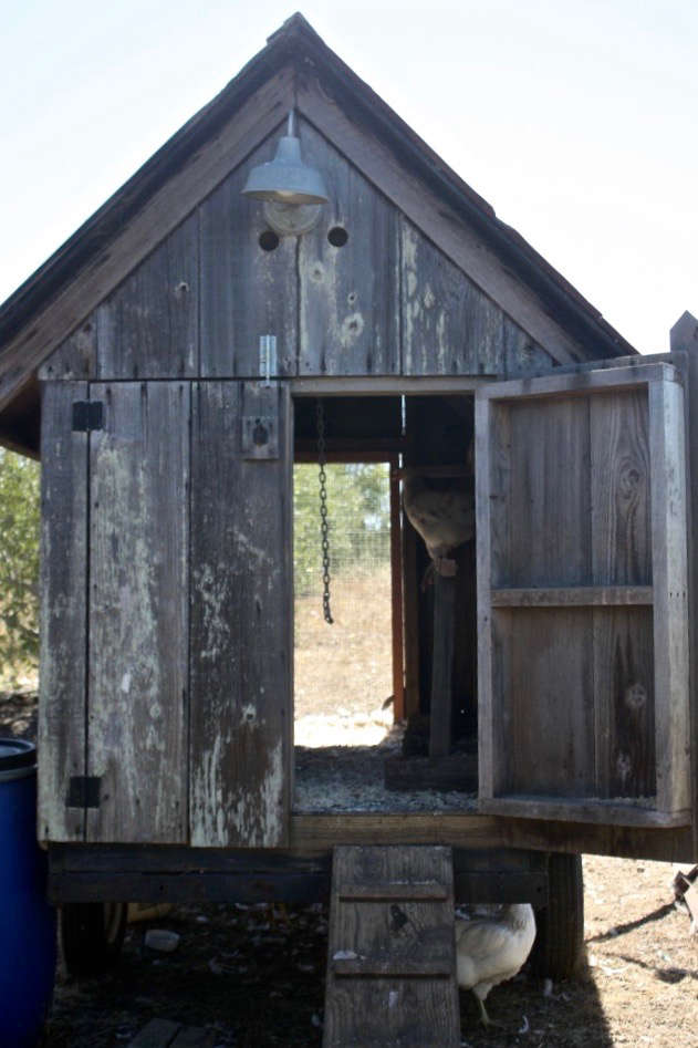 Behind the Scenes A Visit to Spring Coyote Ranch in West Marin