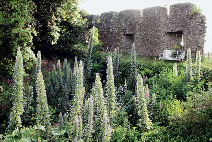 Required Reading Landscape Of Dreams The Bannermans Cornish