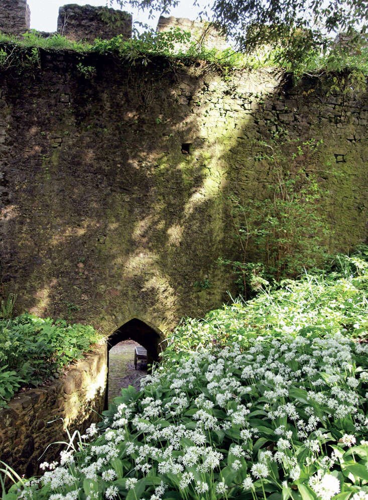 Required Reading Landscape Of Dreams The Bannermans Cornish