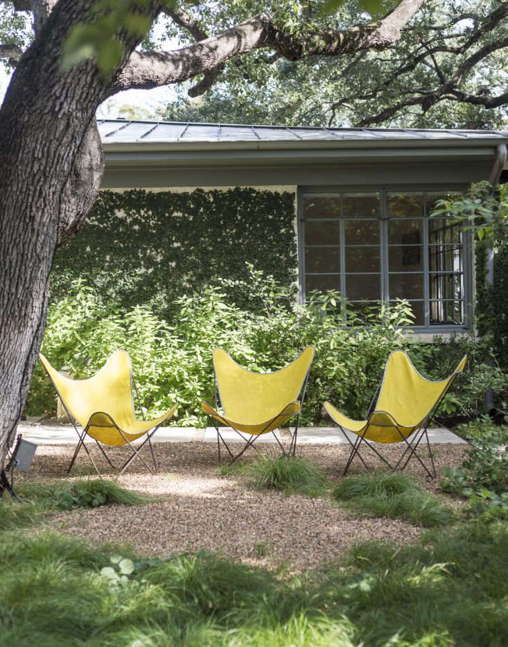 Photograph by Matthew Williams for Gardenista.