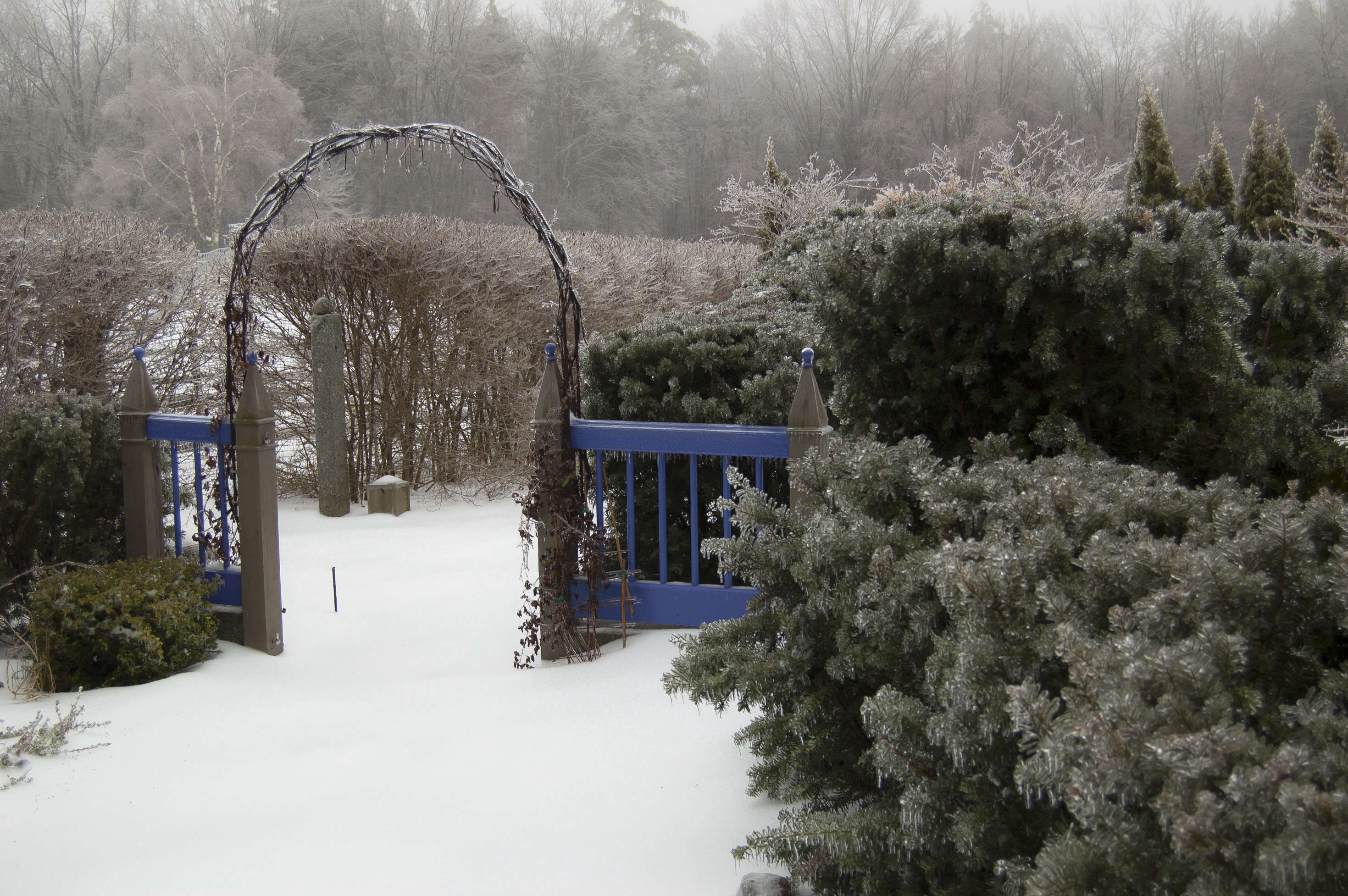 Garden Visit At Home at Juniper Hill Farm in New Hampshire Gardenista