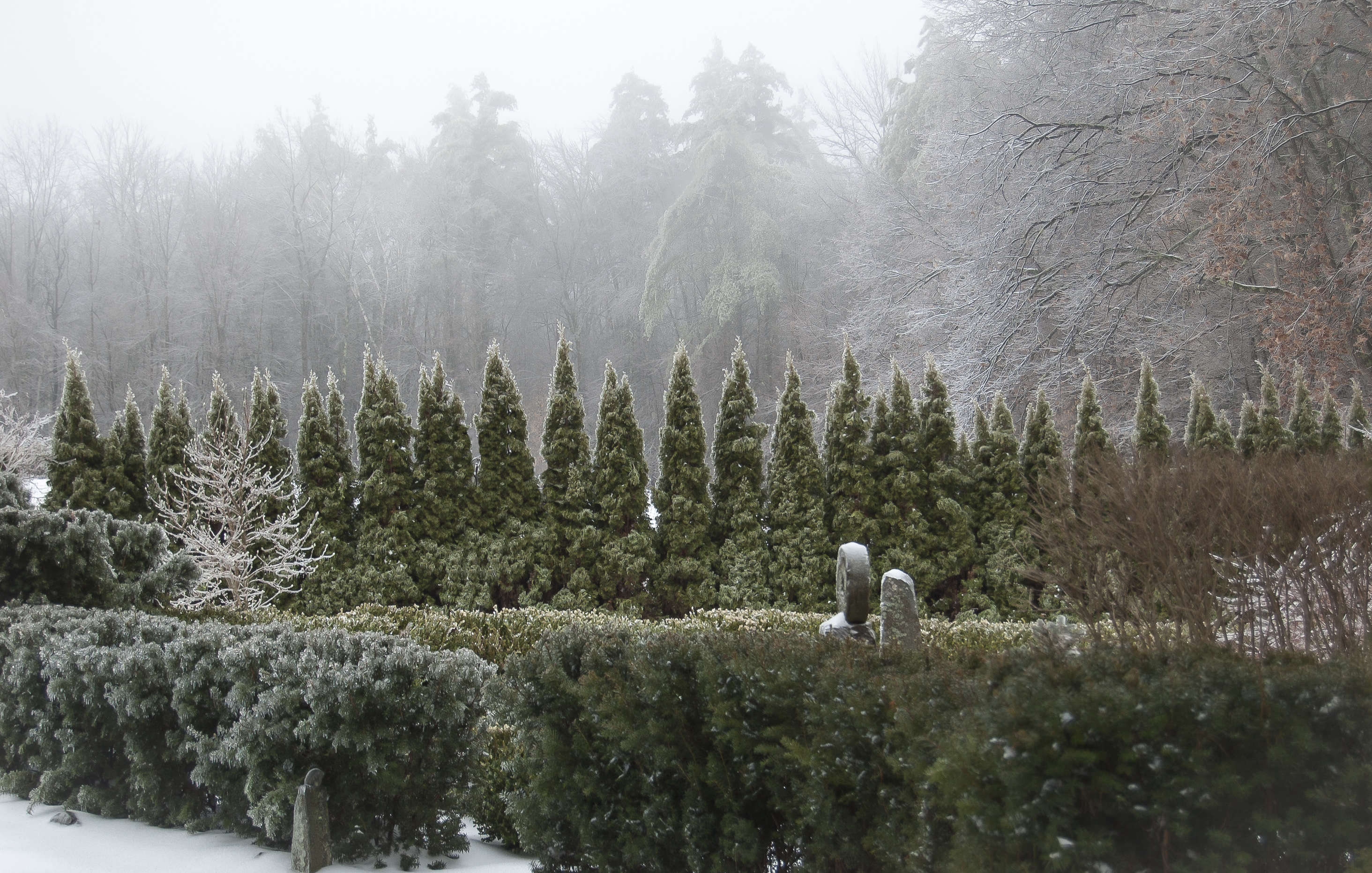 Garden Visit At Home at Juniper Hill Farm in New Hampshire Gardenista