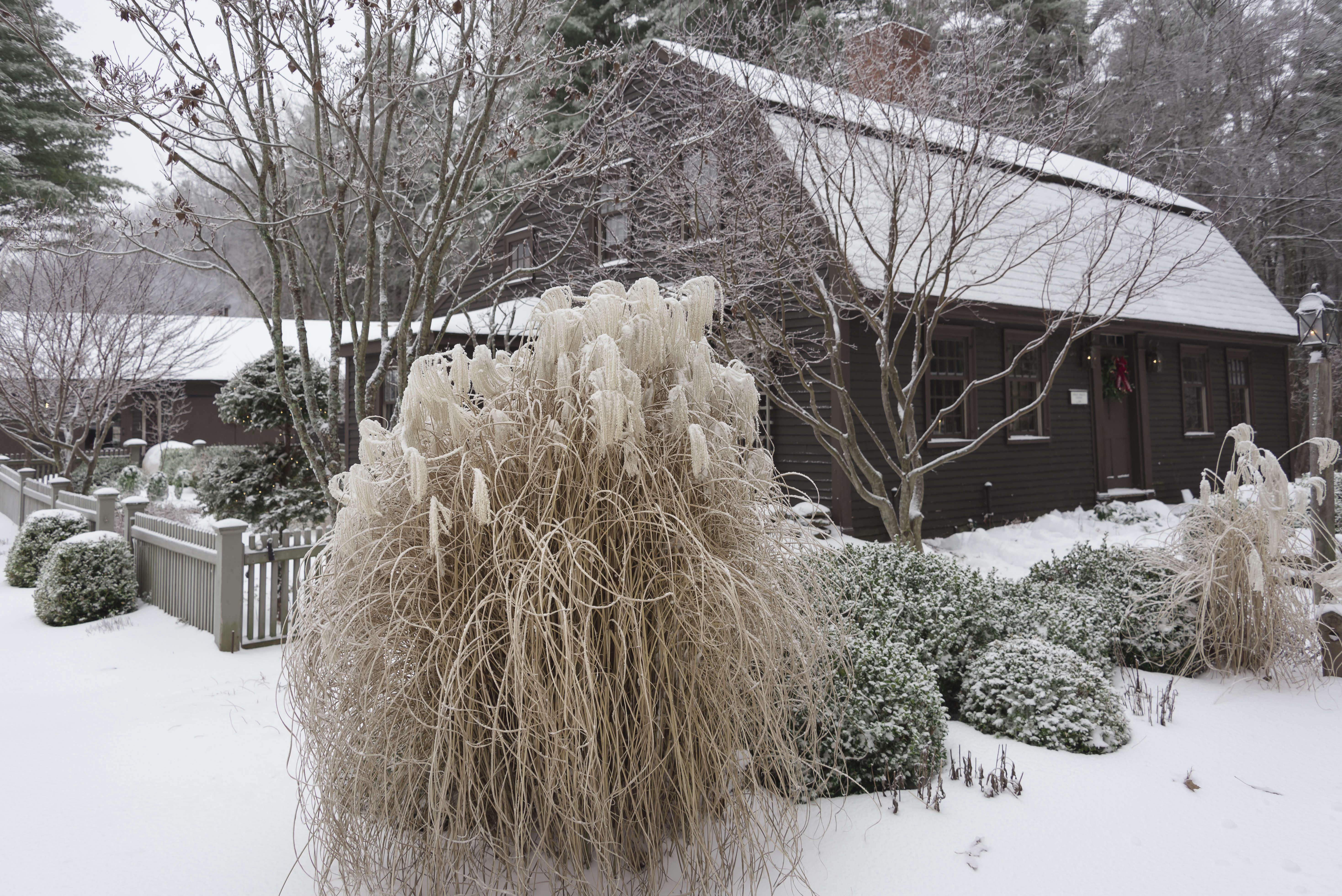 Garden Visit At Home at Juniper Hill Farm in New Hampshire Gardenista