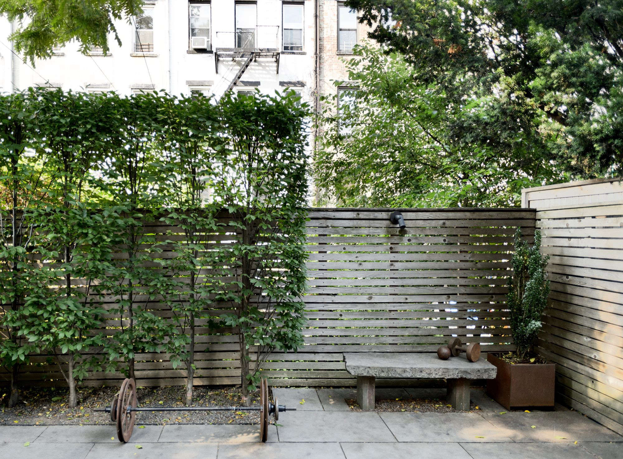 Garden Hacks 10 Ideas For Privacy Screens Gardenista