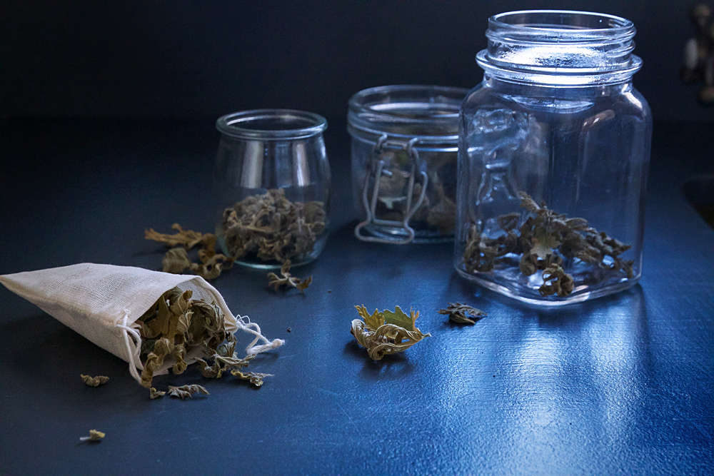 DIY Scented Sachets (and Tea) with Geranium Leaves Gardenista