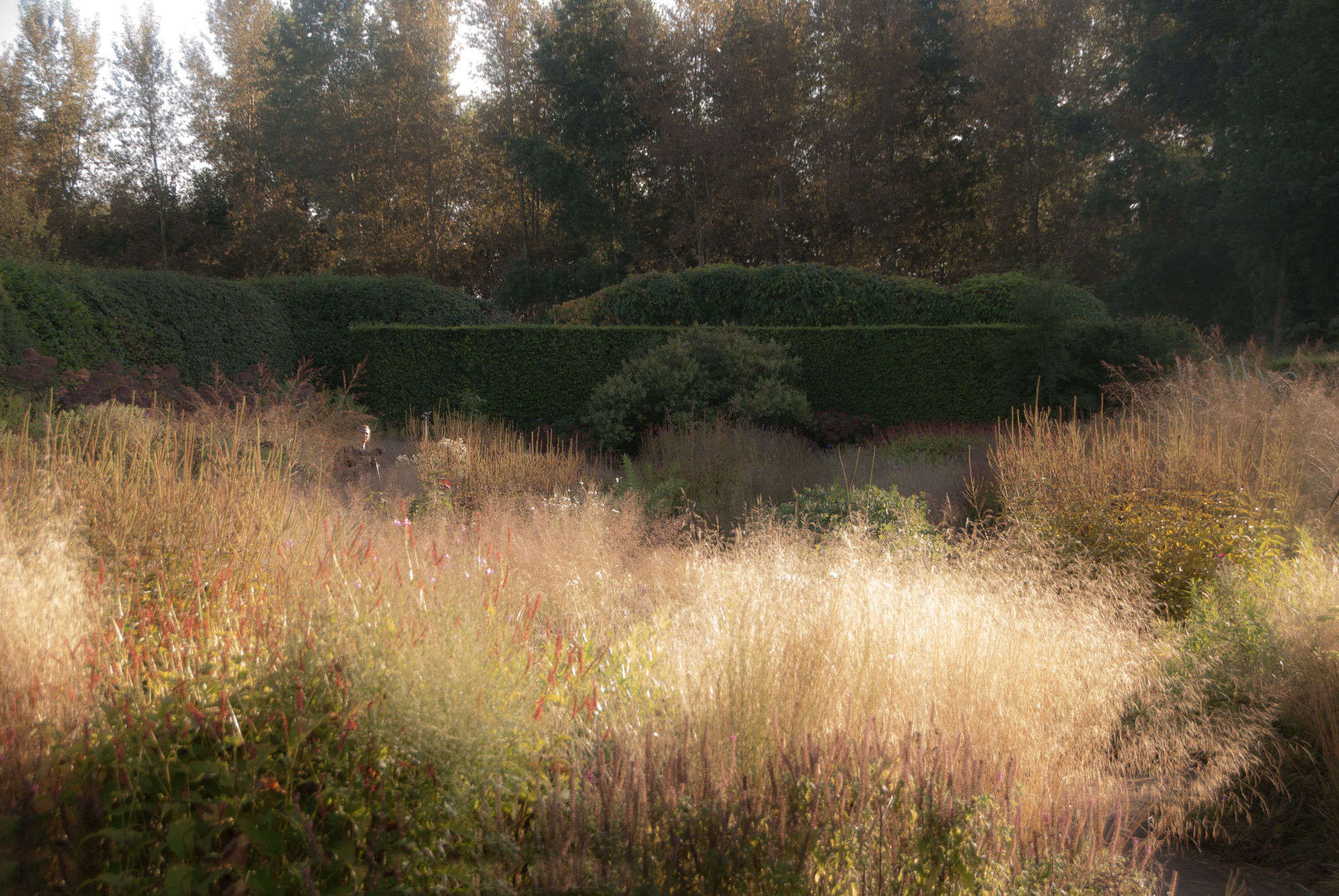garden design learning to plant the piet oudolf way gardenista garden design learning to plant the piet oudolf way gardenista
