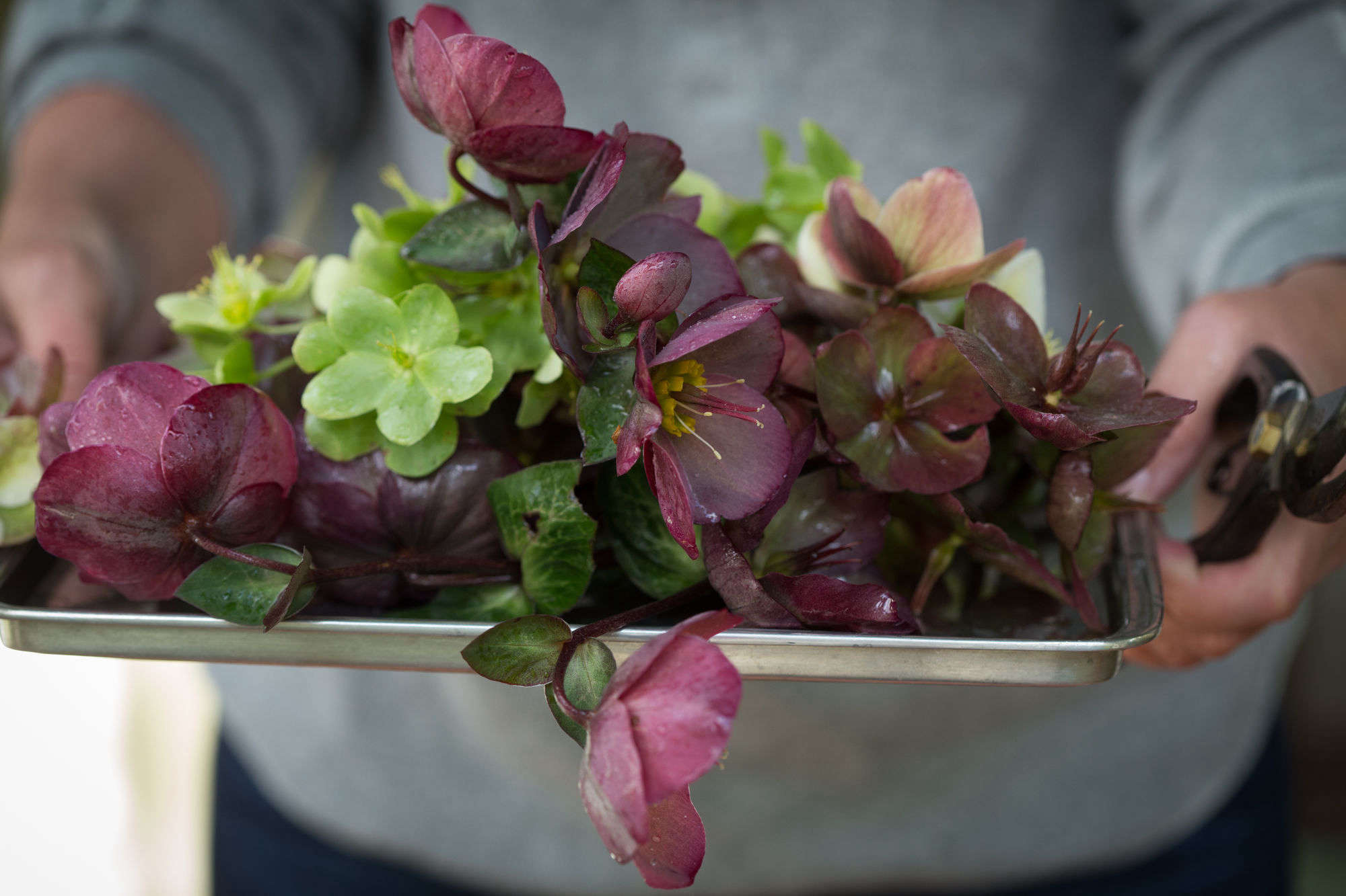 Floral Arrangement Pictures browse floral arrangements - gardenista Floral Arrangement Pictures browse floral arrangements - gardenista