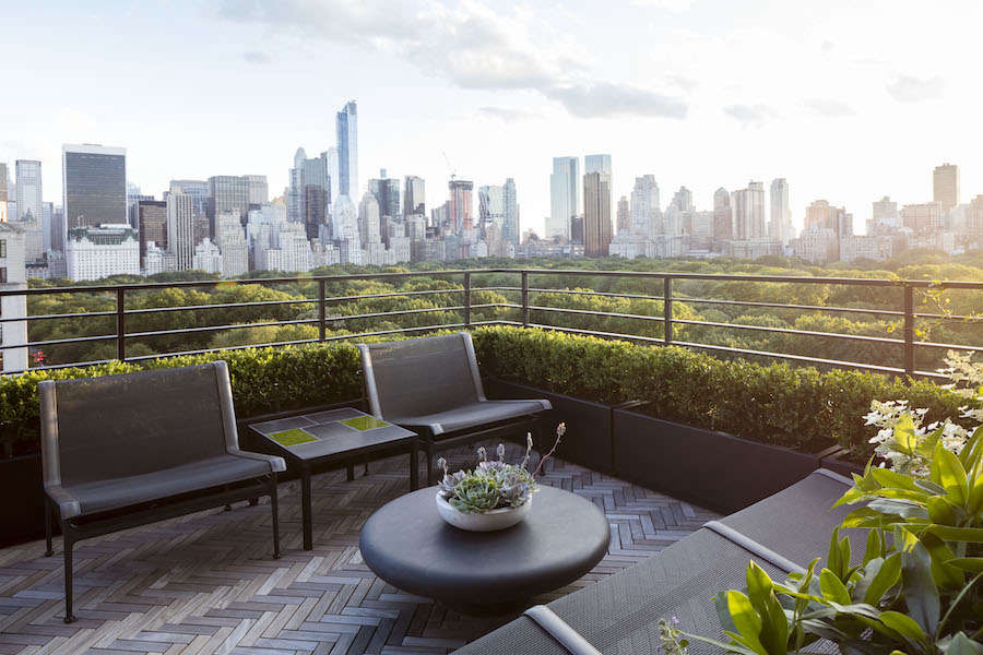 The clients are justifiably protective of their stupendous view of Central Park so Harrison Green installed a low boxwood hedge that blends with the tree canopy of the park while concealing an ugly parapet.
