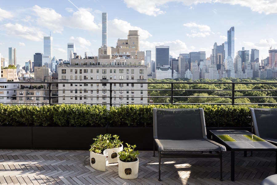 Damien Harrison prefers to provide services such as installation and maintenance for clients without the use of outside companies. Every two weeks Harrison Green staff visit the terrace to perform routine maintenance such as keeping the boxwood hedge neatly trimmed.