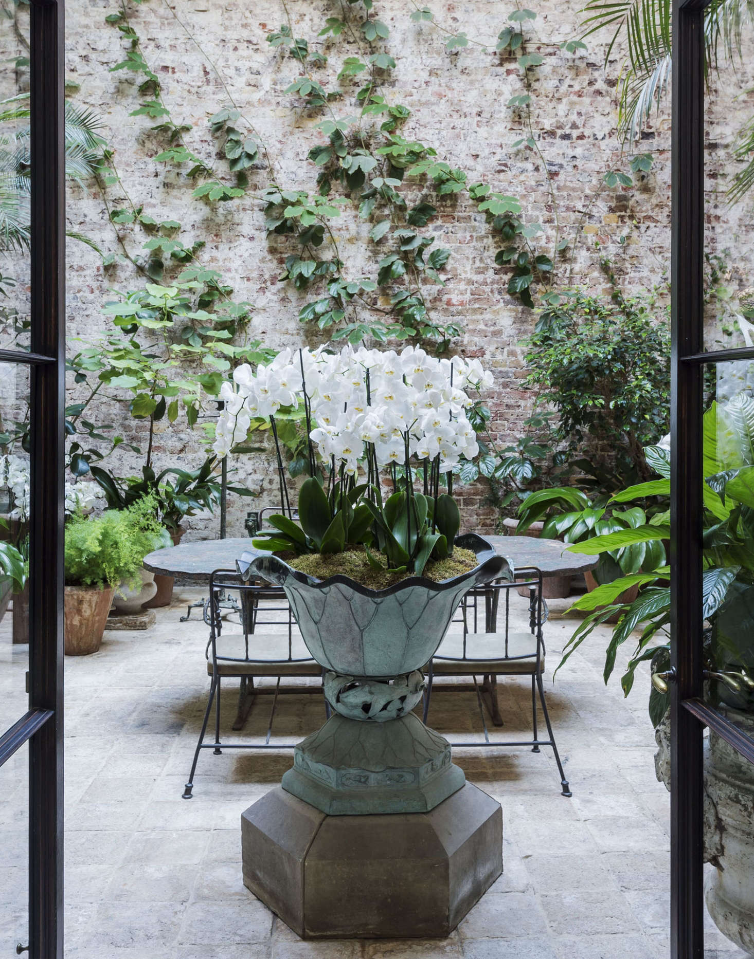 A spectacular moth orchid in designer Rose Uniacke’s London conservatory. Photograph by Matthew Williams.