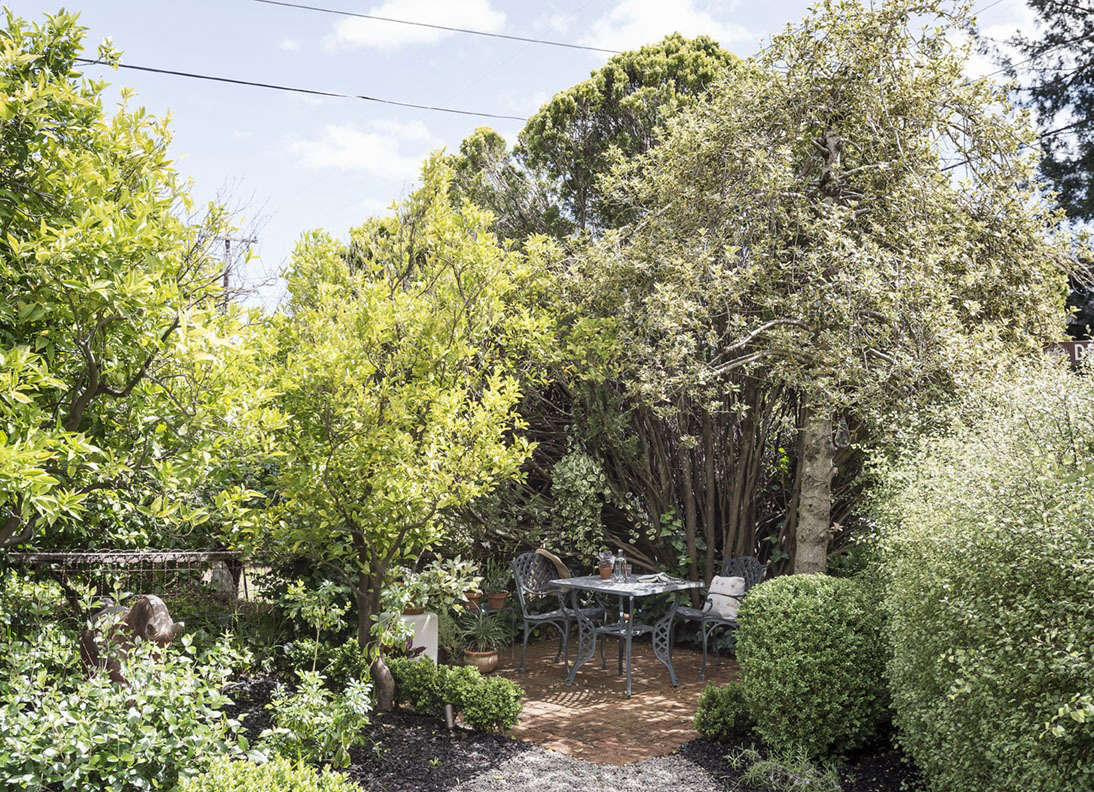 A brick patio abuts a path paved with pea gravel in a corner of my front garden.