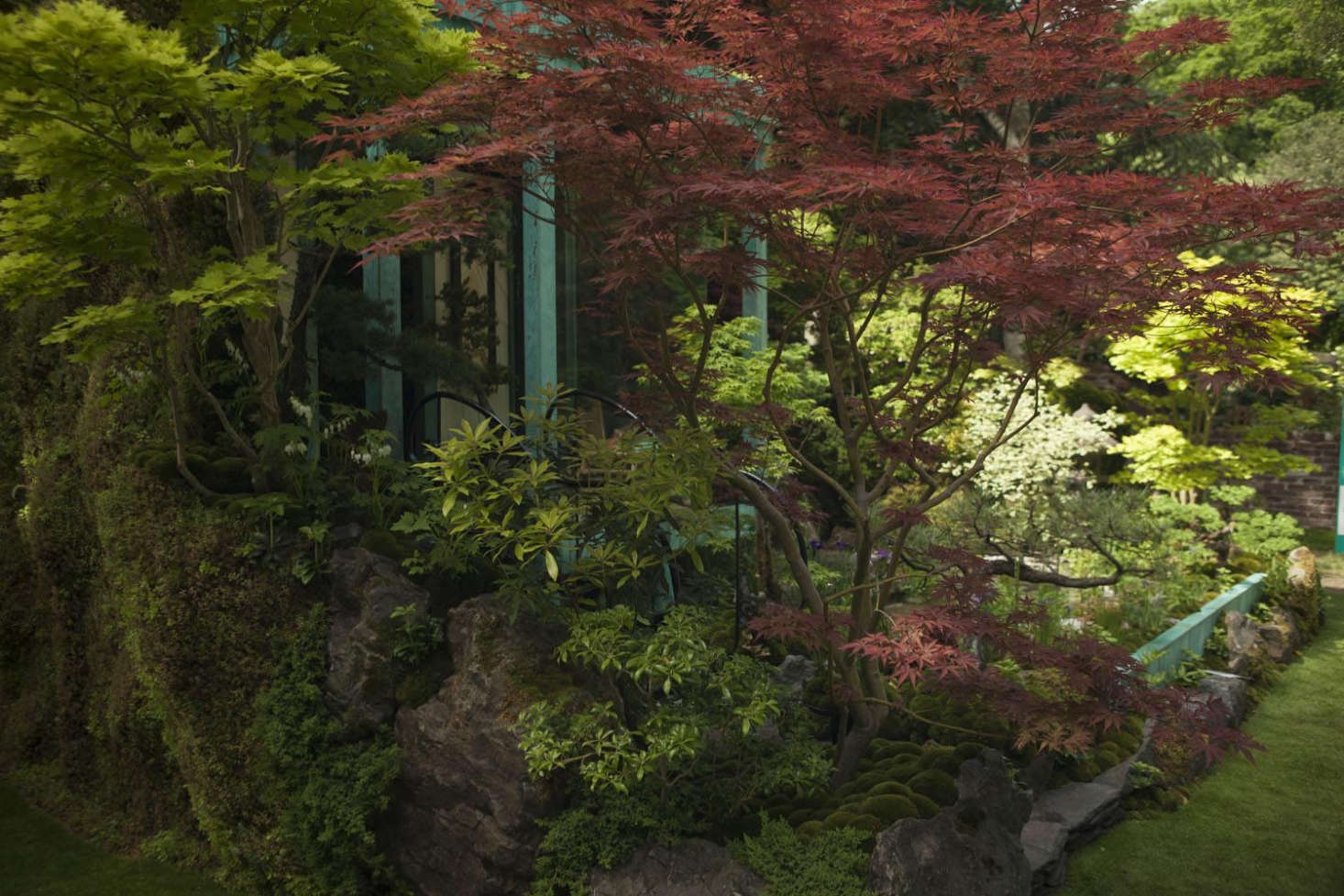 The corner of the garden from an angle that reveals that every side is planted, whether you can see it from the front or not.