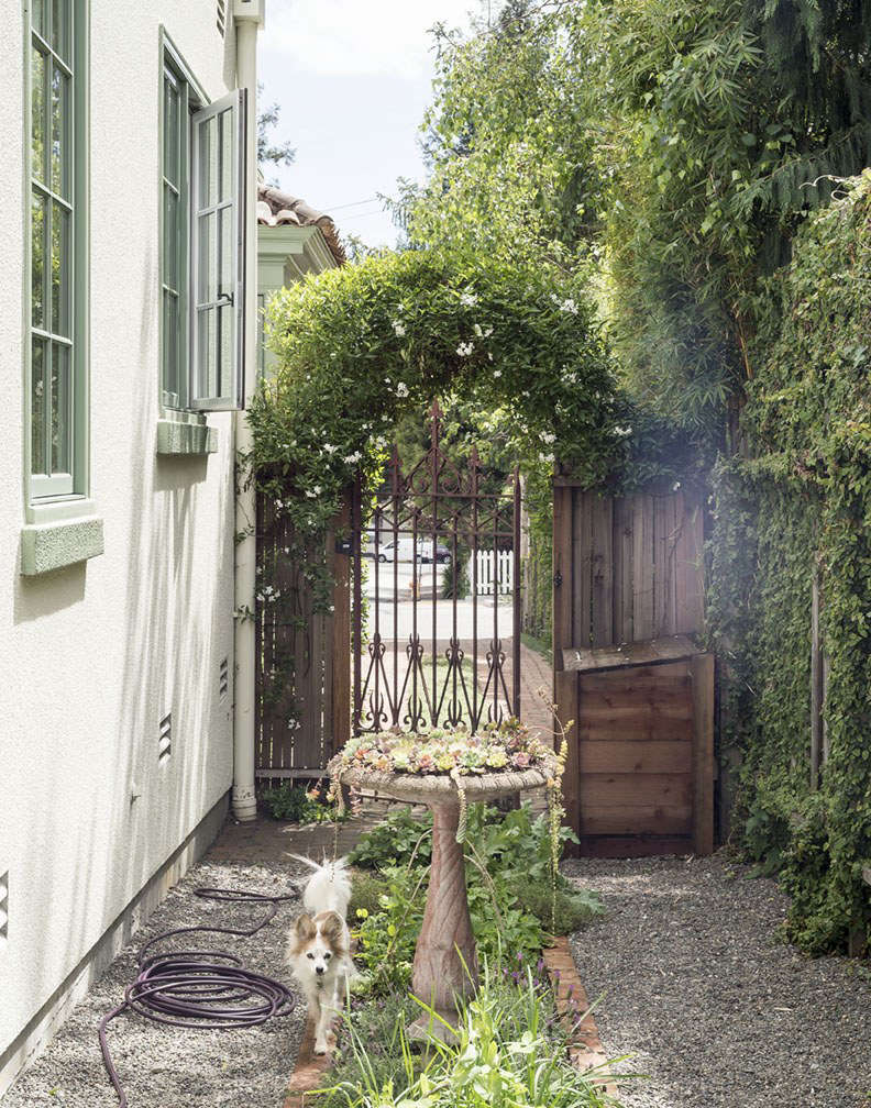 My backyard gate is a repurposed vintage iron trellis, which we discovered leaning against the facade soon after we moved to the house and began to liberate the garden from years of overgrowth.