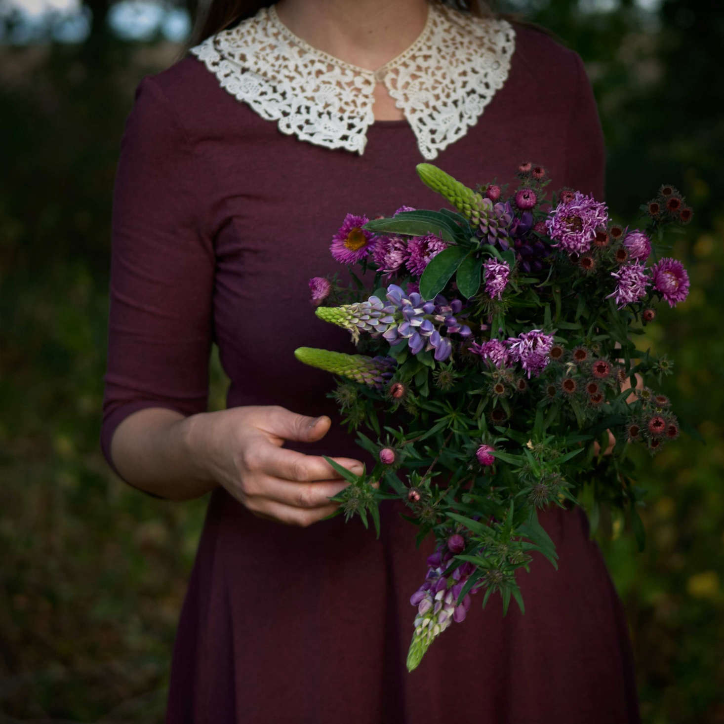 Last lupines, first asters, picked along Juliane