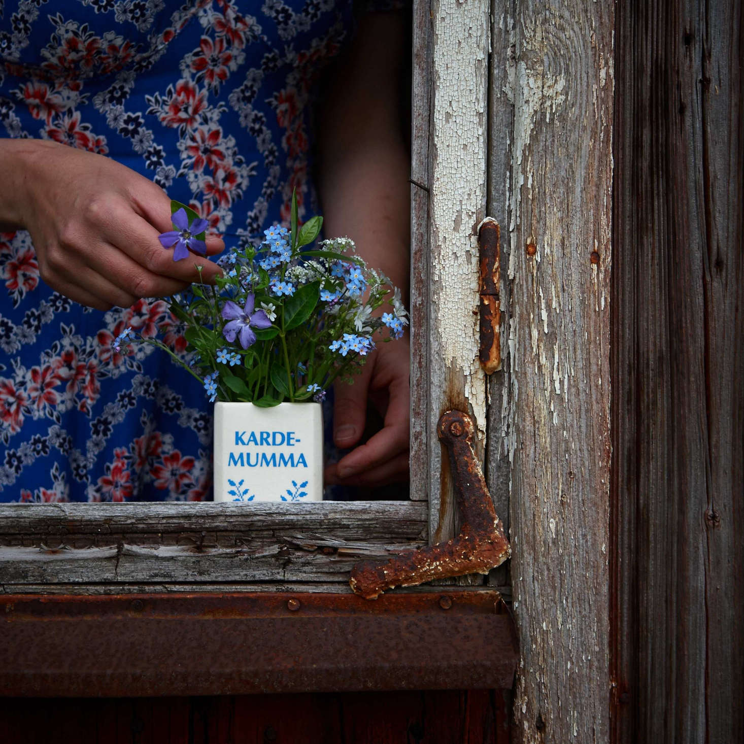 Thyme-leaved sandwort, field mouse-ear, forget-me-not, lesser periwinkle, and cow parsley from behind the barn now take their a place in a window.