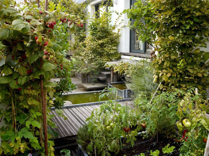 private paris: 7 secret gardens in the city of love