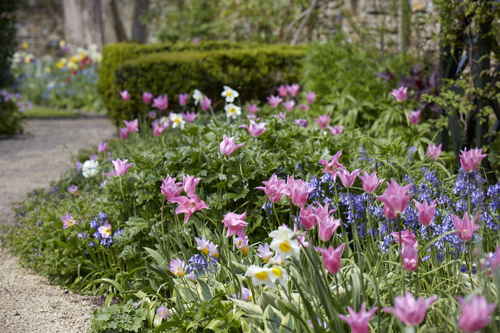 Is perfection achievable in a garden? Some would say not, but Wortley House in Gloucestershire comes very close to achieving it with its eclectic combination of spring bulbs flowering in the borders. See more of this garden at Garden Visit: A Modern Garden for a Gothic Estate in the Cotswolds. Photograph by Britt Willoughby Dyer.