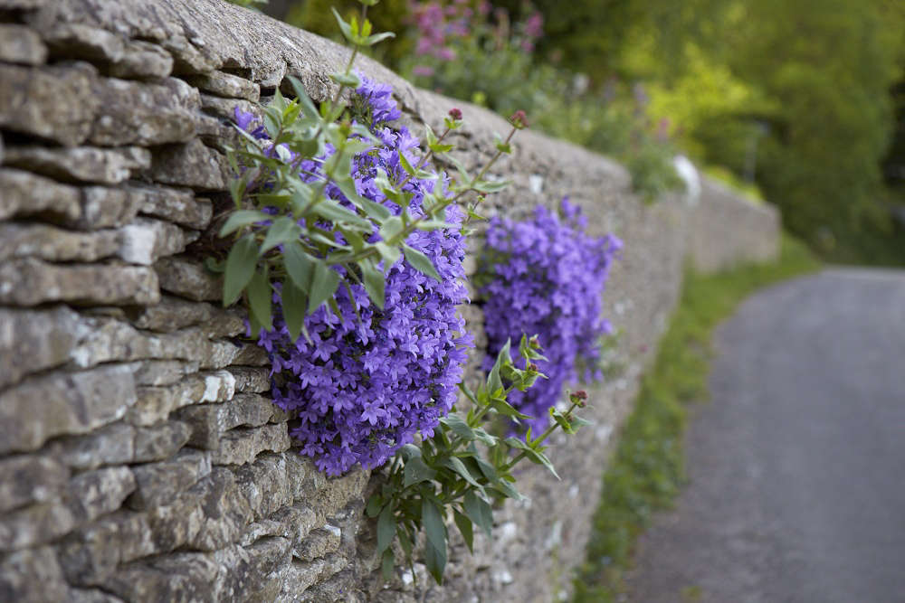 Hardscaping 101 Dry Stone Walls Gardenista