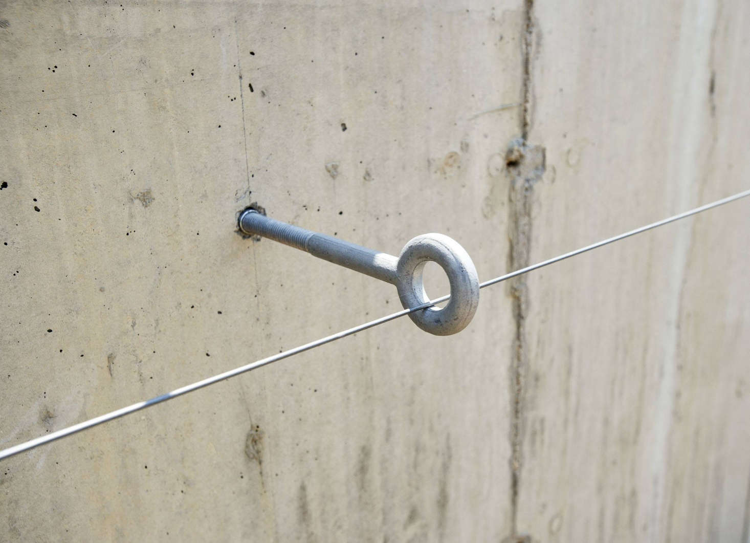 Espaliered fruit trees are trained against a wire support system attached to a poured-concrete retaining wall.
