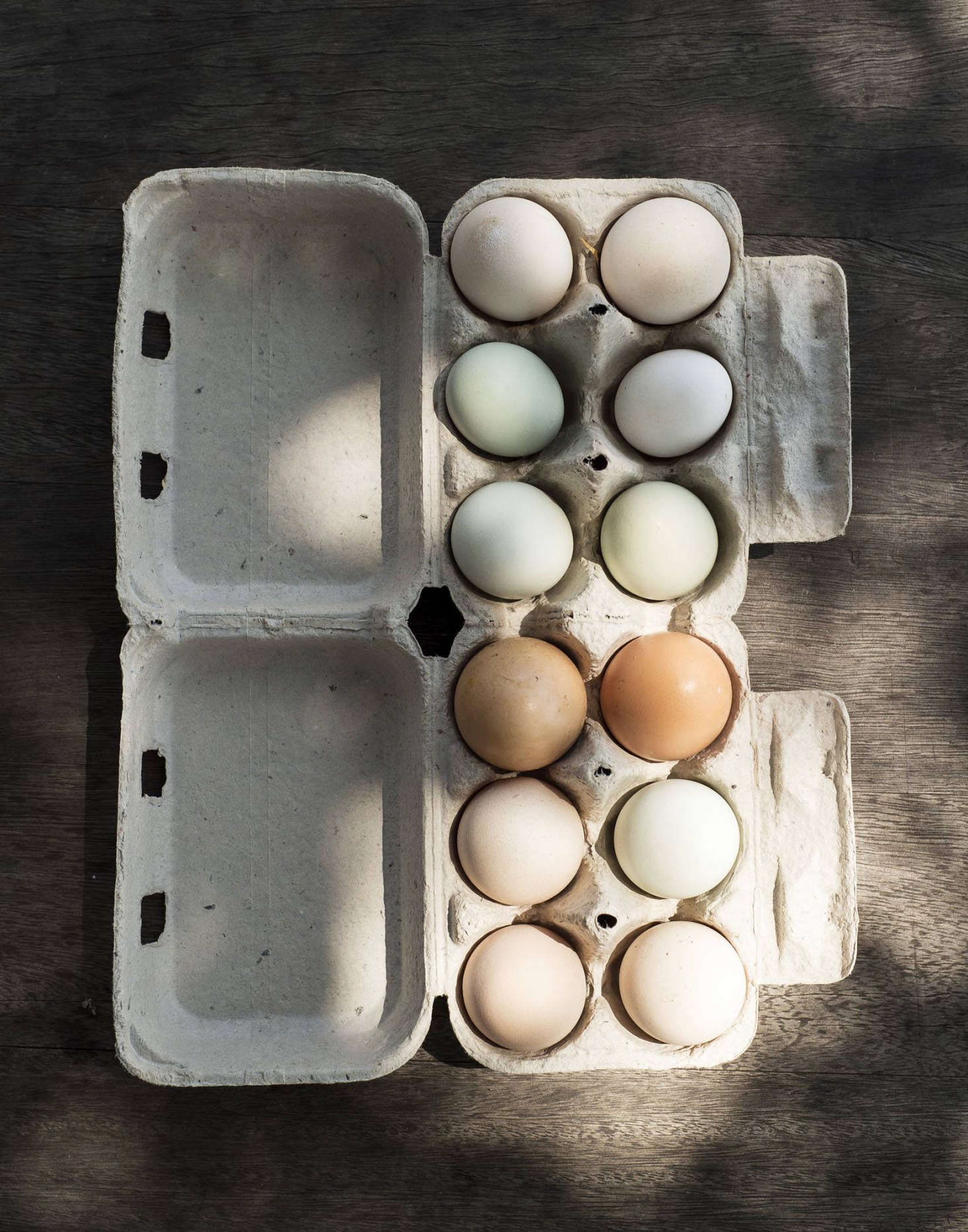 Everything produced at Grey Barn farm is organic: no synthetic fertilizers, growth hormones, herbicides, or pesticides are used.