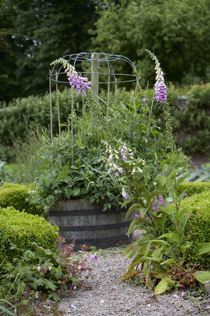 Foxgloves and flowers in a barrel planter are friendly to pollinators.