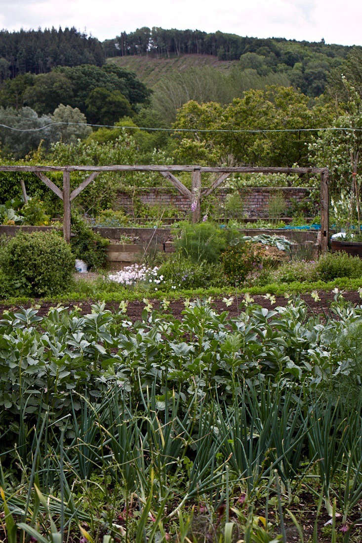 Other than the allure of an old walled garden, Colum and his wife, Cathi, who runs a forest school on the estate, were drawn to the traditional way of life here.