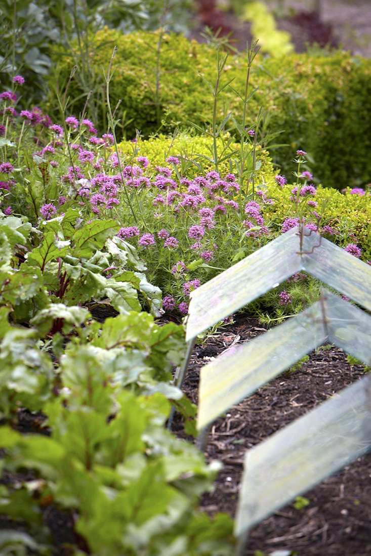 Extra protection for tender seedlings.