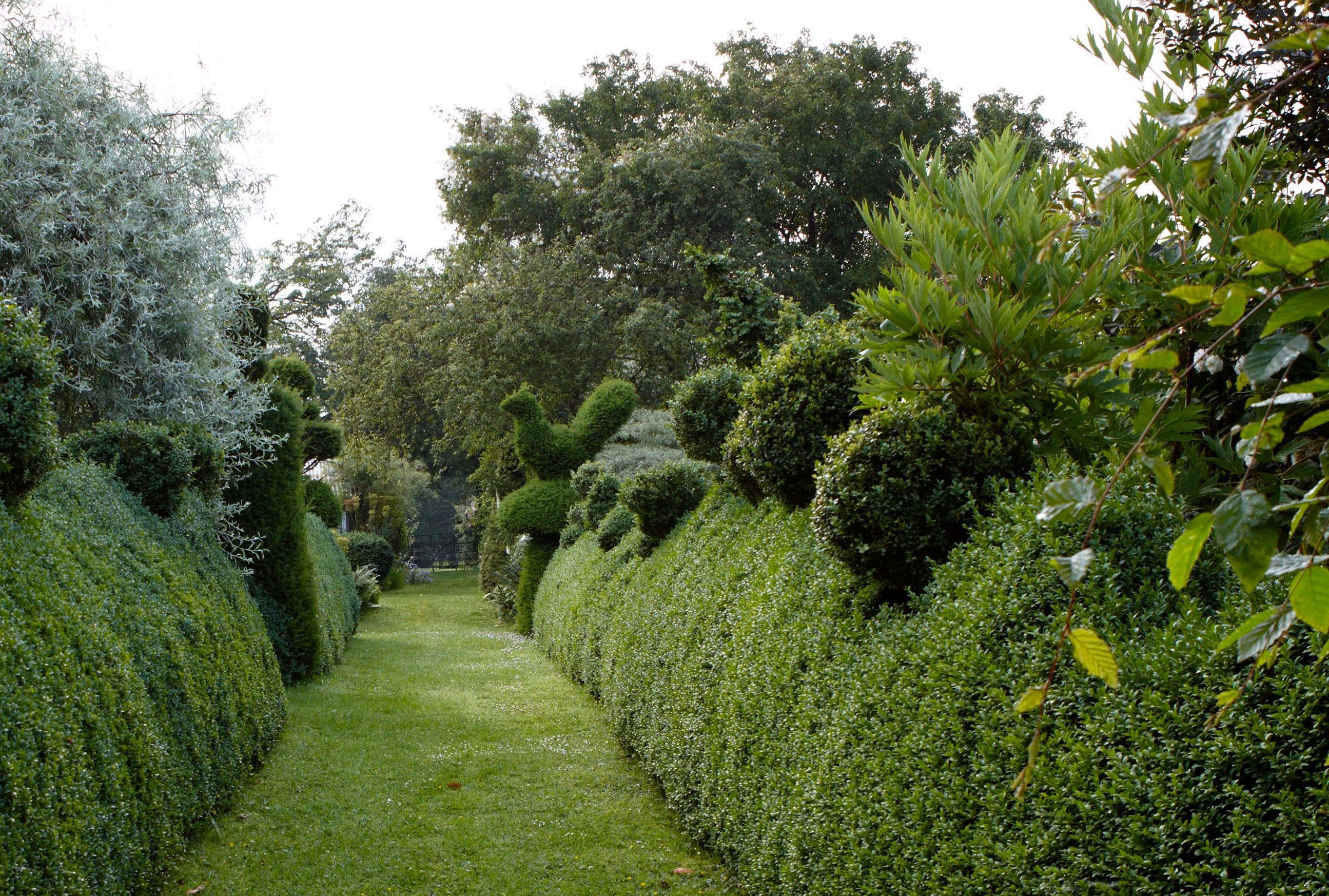 Landscaping 101: How to Tame Overgrown Shrubs - Gardenista