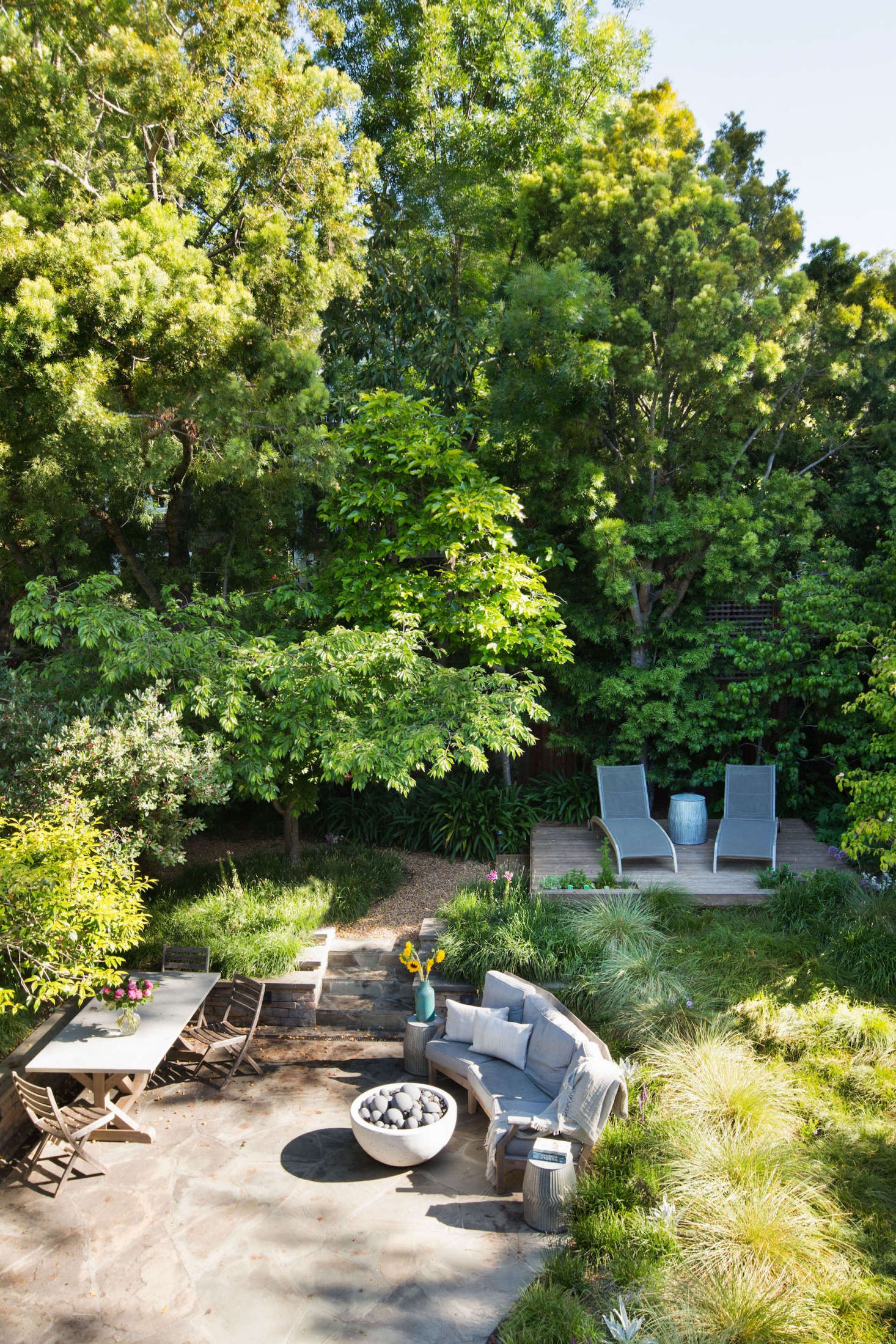 Garden Visit: A Backyard Meadow in Mill Valley, CA - Gardenista