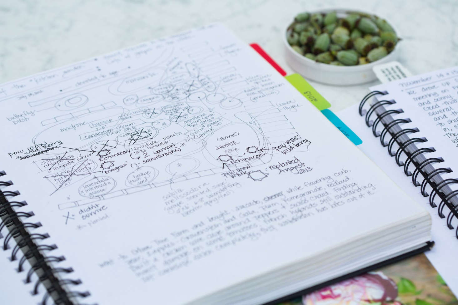 A journal which documents where everything is planted and what performs well is a tool to plan next year