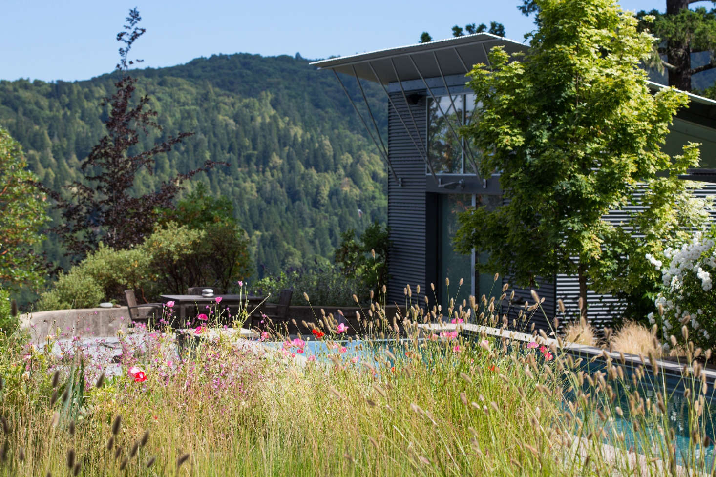 Viewed from the house, the guest house (at Right) at the edge of the pool creates a sense of intimacy and human scale in a dramatic landscape.