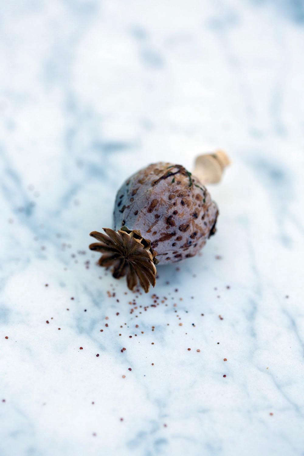Each poppy pod is like a tiny salt shaker, with holes from which you can shake out dozens of seeds.