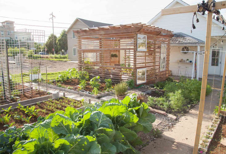 Best Amateur Garden 2017: A Backyard Cabana in Omaha by Andrew Tatreau