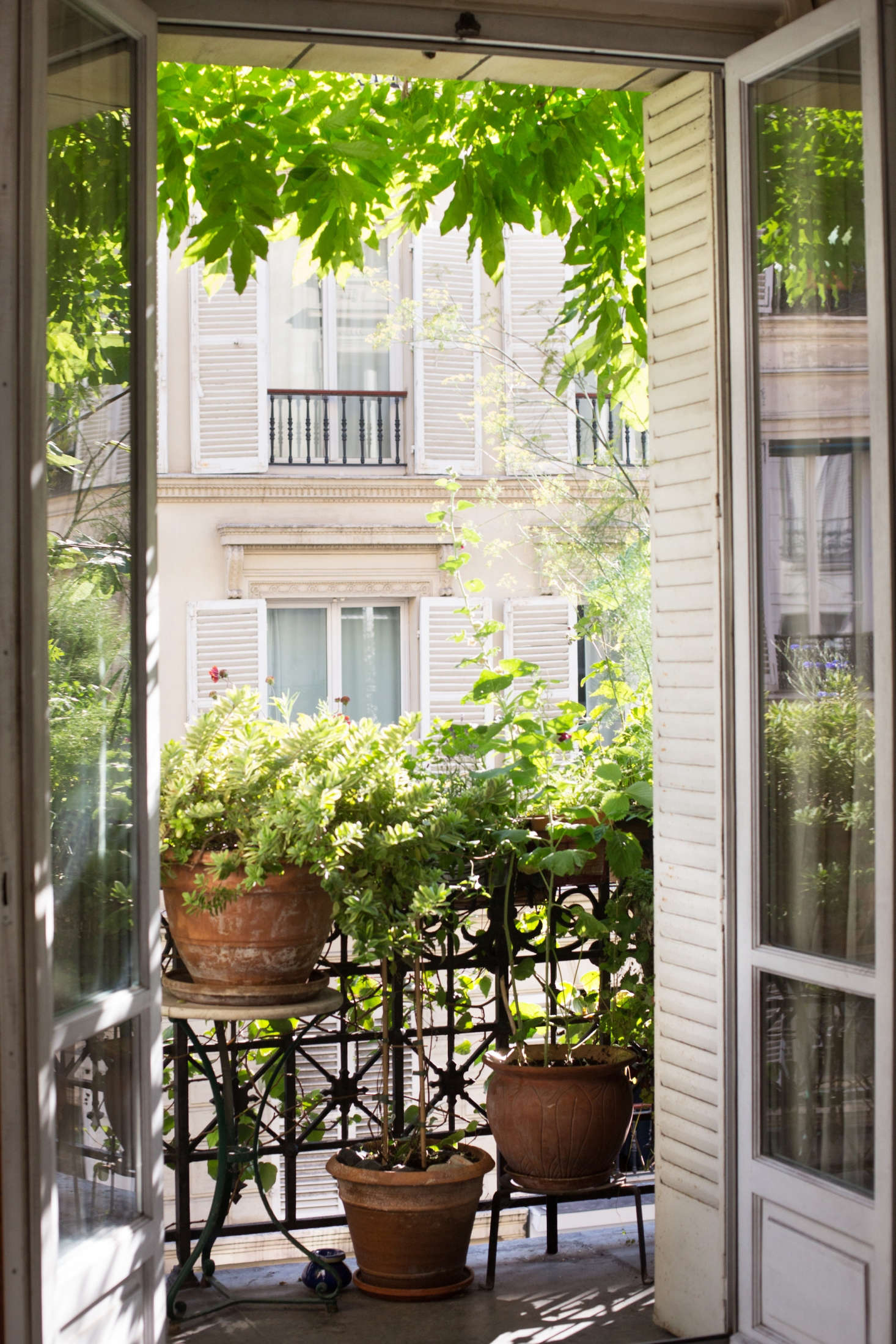 How to Garden Like a Frenchwoman: 10 Ideas to Steal from a Paris