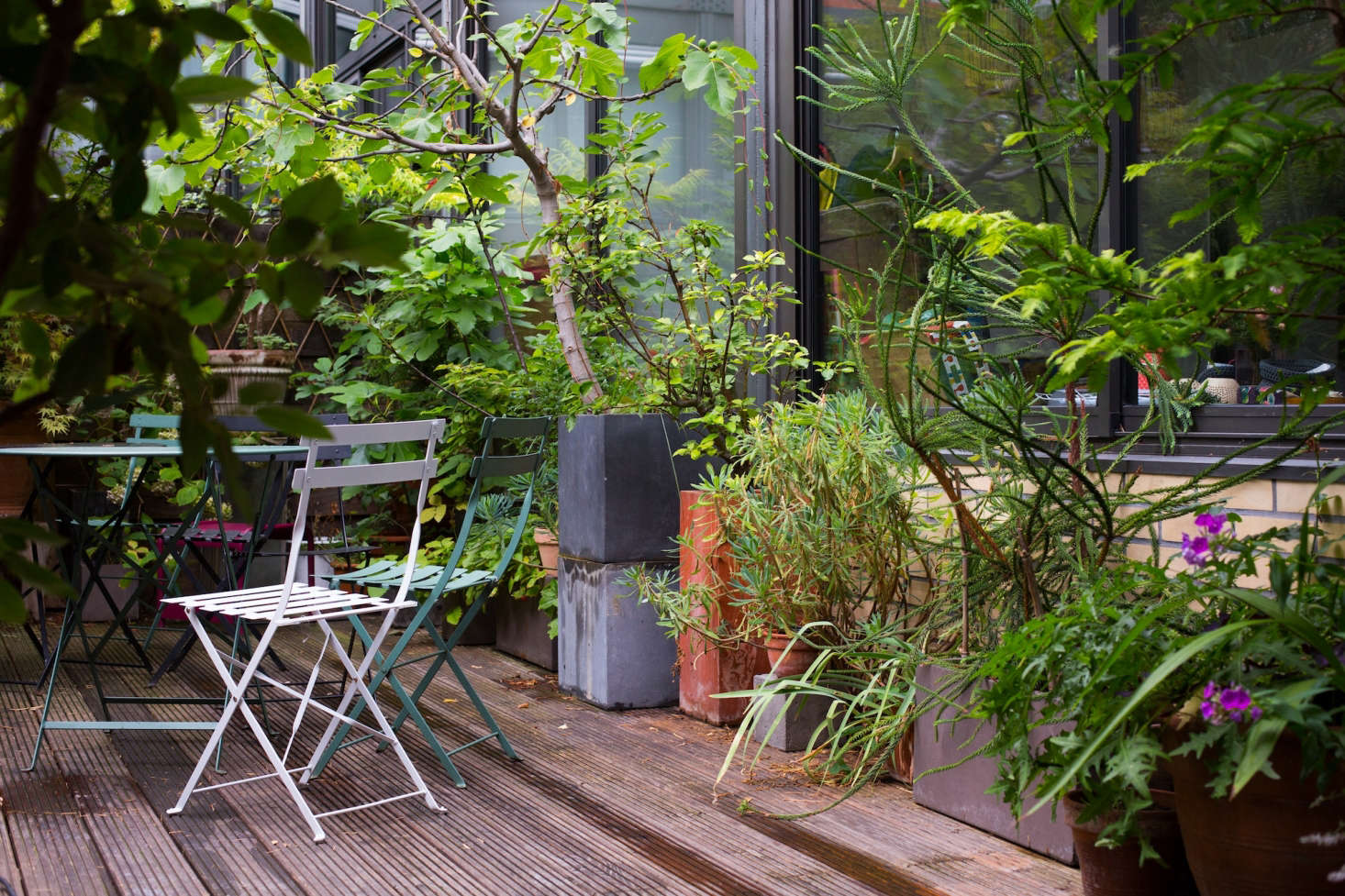 How to Garden Like a Frenchman: 10 Ideas to Steal from a Parisian