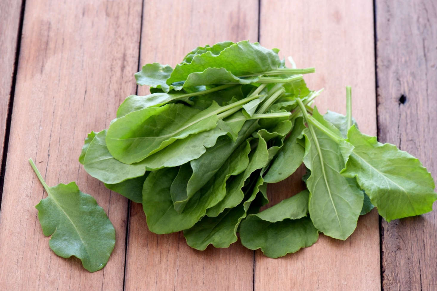 Gardening 101 Sorrel Gardenista