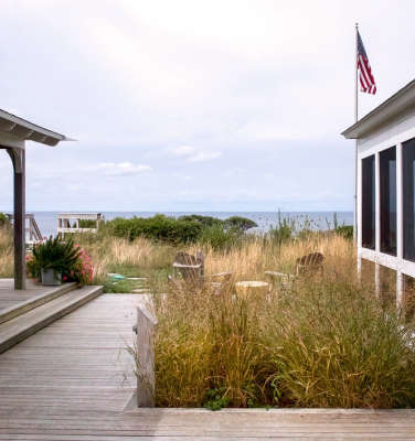 How to Successfully Grow Feather Reed Grass: A Field Guide to Planting ...