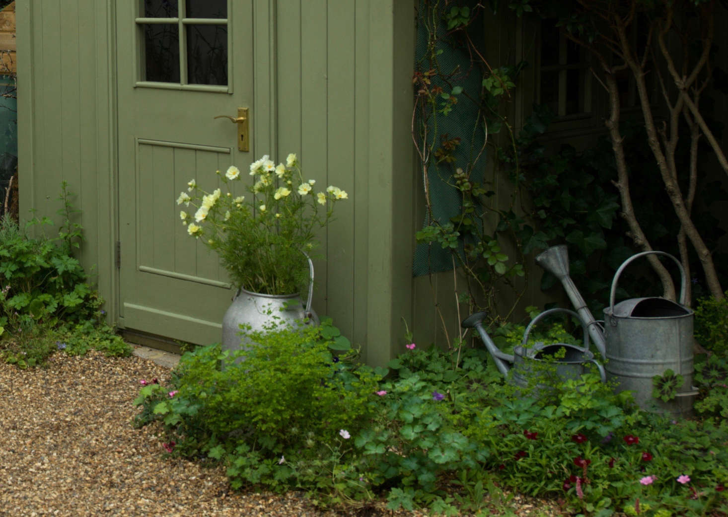 “I advise all my clients to dig up their small city lawns and replace them with gravel,” says Carolyn. “It is cheap, attractive, better for the environment than paving slabs as it allows the rain water to sink through, and best of all it means you get loads of flowering plants for free if you allow them to self-seed.”